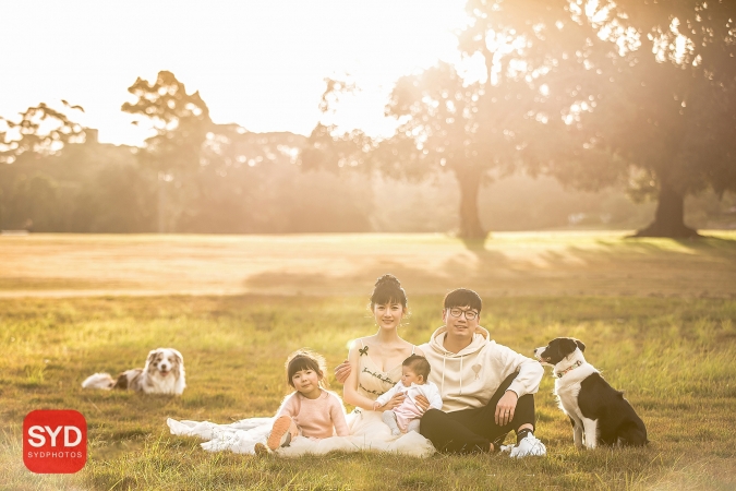 悉尼宝宝,孕妇,家庭摄像